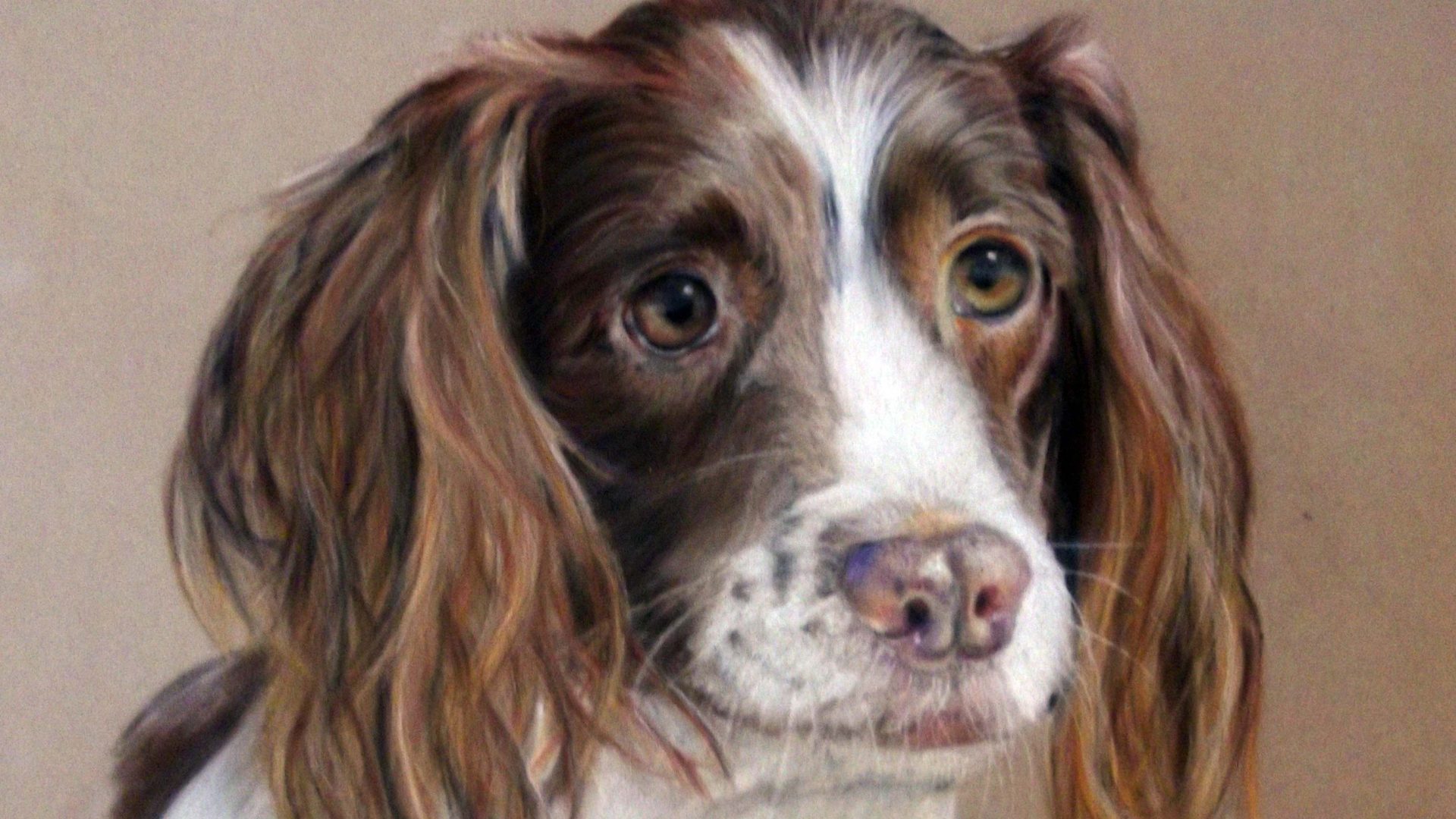 A realistic painting of a springer spaniel