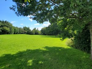 Dunston Park Open Space