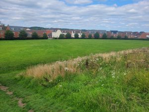 Kennet Heath Open Space