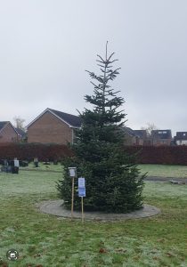 The 2023 Memory Tree at London Road Cemetery, Thatcham