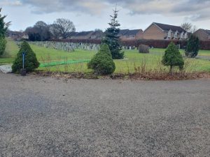 New hedging at London Road Cemetery, Thatcham