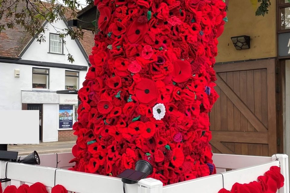 The image shows a tree trunk wrapped in a thick cascade of large, handmade red poppies. The poppies are densely packed, with a single white one standing out among them. A white picket fence surrounds the base of the tree, with a garland of more red poppies draped across the fence.